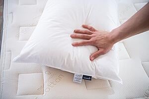 Down Pillow by Naturepedic
