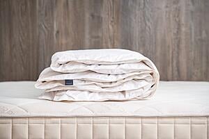 Wool Comforter (Duvet Insert) by Naturepedic