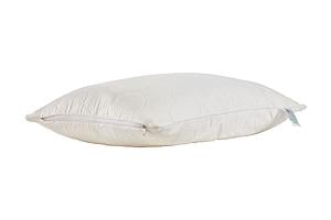 MyLatex 100% Natural Latex & Natural Cotton Pillow by Sleep & Beyond