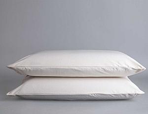 Organic Cotton Waterproof Pillow Case Encasement Pair by Sleep & Beyond