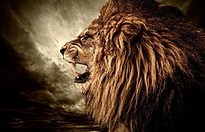 SF1355 Tempered Glass plus Foil (40x60) by Classy Art