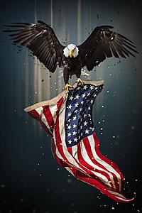 SF1395 Temp Glass w/Foil - Eagle Flag (40x60) by Classy Art