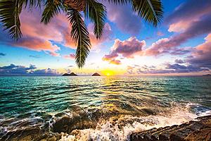 SF1580 Tempered Glass w/Foil - Coastal Sunset (40x60) by Classy Art