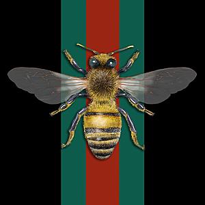 SF1654 Temp Glass w/Foil - Queen Bee (50x50) by Classy Art