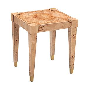 Brandyss Natural Burl End Table by TOV Furniture