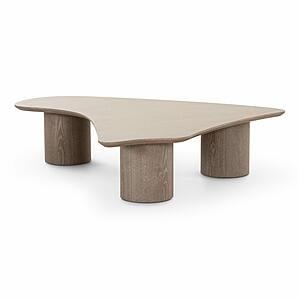 Rhema Washed Ash Organic Low Coffee Table by TOV Furniture