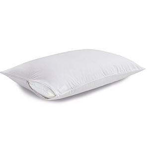 Pillow Protector (Set of 2) - Zippered Style - Cotton Terry by Prestige