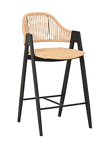 Modrest Gayle - Modern Rattan Counter Stool Set of 2 by VIG Furniture