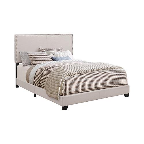 Boyd Queen Upholstered Bed w/Nailhead Trim Ivory by Coaster