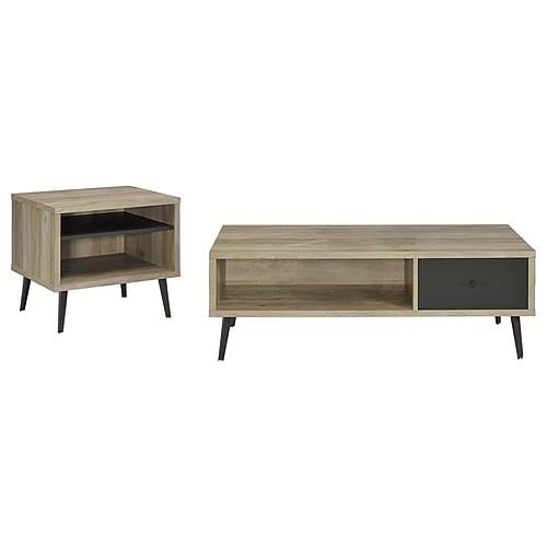 Welsh 2-piece Coffee and End Table Set Distressed Pine by Coaster