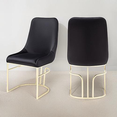 Emrald Velvet Fabric Dining Chairs w/Gold Legs (Set of 2) by Galaxy Furniture
