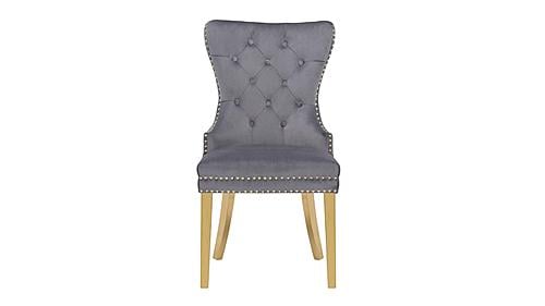 Simba Velvet Fabric Dining Chairs w/Gold Legs (Set of 2) by Galaxy Furniture