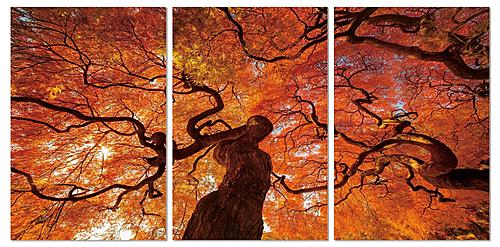 Wall Art Oak by J&M Furniture