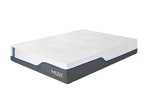 Wellflex 1.0 12