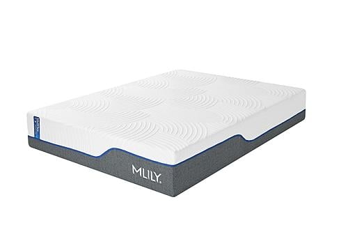 Wellflex 3.0 12