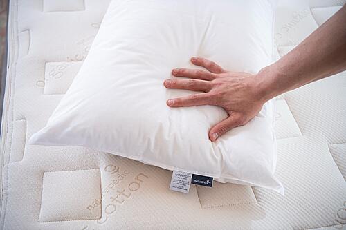 Down Pillow by Naturepedic