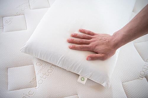 Sculpted Latex Pillow by Naturepedic