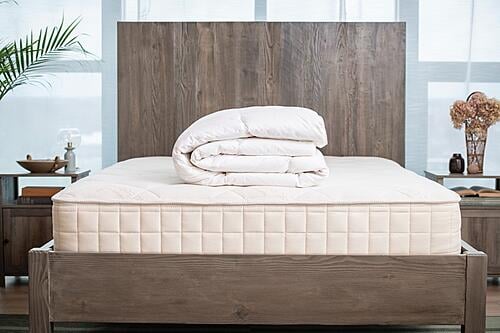 Down Comforter (Duvet Insert) by Naturepedic