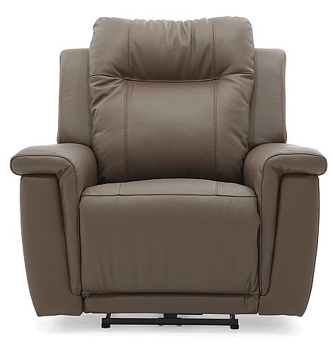 [Special Order] Riley Power Rocker Recliner w/Power Headrest by Palliser