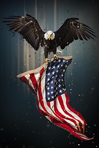 SF1395 Temp Glass w/Foil - Eagle Flag (40x60) by Classy Art