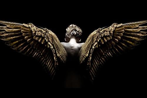 SF1407 Temp Glass w/Foil - Wing Spread (60x40) by Classy Art