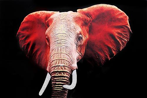 SF1424R Temp Glass w/Foil & Rhinestones - Elephant Red (60x40) by Classy Art