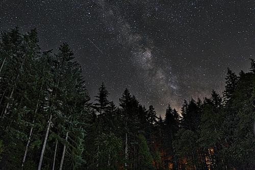 SF1650 Temp Glass w/Foil - Starry Forest (40x60) by Classy Art