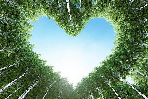 SF1758 Temp Glass w/Foil - For the Love of Trees (60x40) by Classy Art