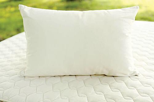 Latex-Wool Pillow by Savvy Rest