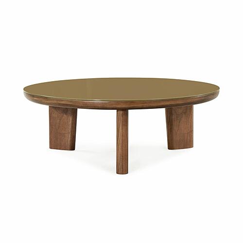 Oani Walnut and Glass Round Coffee Table by TOV Furniture
