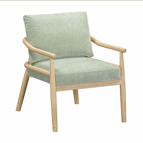 Dixie Mint Green Chenille Velvet Accent Chair by TOV Furniture