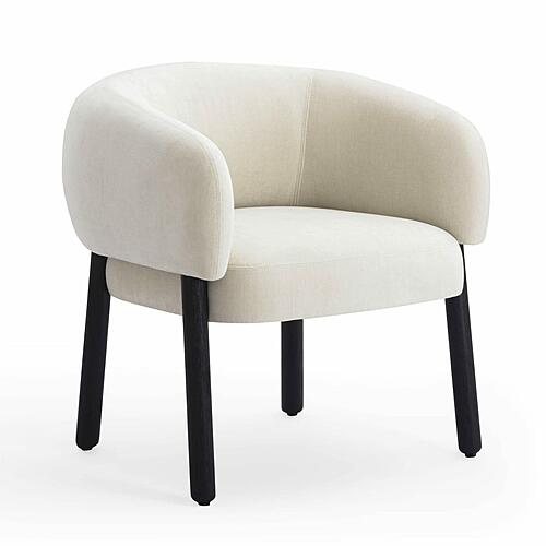 Foxy Cream Performance Basketweave Chenille Accent Chair by TOV Furniture