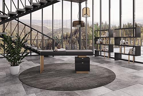 Modrest Trahan - Modern Grey Elm & Gold Office Desk by VIG Furniture