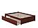 Concord Solid Wood King Platform Bed w/Footboard & Twin XL Trundle in Walnut by AFI Furnishing