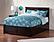 Madison Solid Wood King Platform Bed w/Footboard & Twin XL Trundle in Espresso by AFI Furnishing
