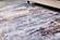 Zara Contemporary Washable Super Soft Area Rug with Abstract Design Gray/Brown/Rust by Amazing Rugs