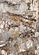 Aurora Grey Orange White Distressed Abstract Rug by Kalora