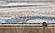 Avalon Ivory/Blue Wonder Area Rug by KAS Rugs