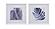 Leaves Set of 2 by Bassett Mirror