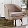 Zebra Upholstered Modern Accent Chair - Beige Luna 21 by Casamode