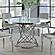 Irene Round Glass Top Dining Table White and Chrome by Coaster