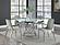 Irene 5-piece Round Glass Top Dining Set White and Chrome by Coaster