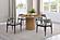 Alexis Fabric Upholstered Dining Arm Chair Grey (Set of 2) by Coaster