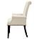 Alana Tufted Back Upholstered Arm Chair Beige by Coaster