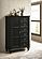 Sandy Beach Door Chest w/Concealed Storage Black by Coaster