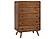 Robyn 5-piece Queen Bedroom Set w/Upholstered Tufted Headboard Dark Walnut by Coaster
