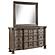 Emmett 9-drawer Dresser w/Mirror Walnut by Coaster