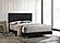 Kendall Tufted Panel Queen Bed Black and Gold by Coaster