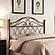 Zola Queen / Full Metal Scroll Headboard Brown by Coaster