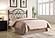 Zola Queen / Full Metal Scroll Headboard Brown by Coaster
